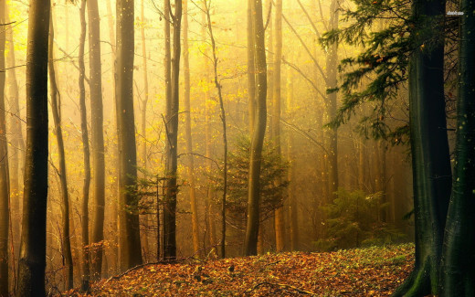 764778 (a): :1920x1200